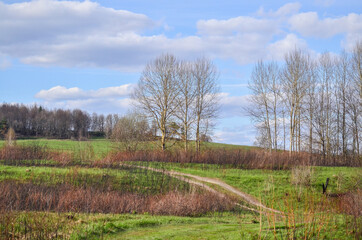 Obraz premium landscape in spring