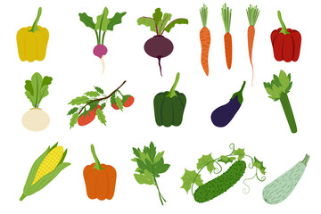Set of Six Orange Carrots with Exotic Leaves and Stalks. Cute Carrots on light Pink Background. Vector Vegetable Symbol with Carotene in simple Abstract style for Grocery, Children Decor.