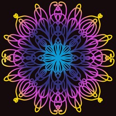 Floral pattern. Multi-colored lines on a black background.