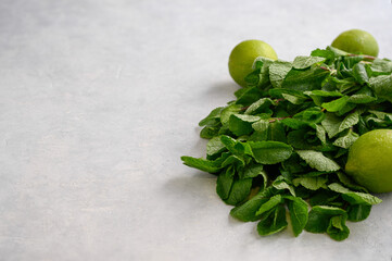 Fresh aromatic mint and juicy lime on a light background