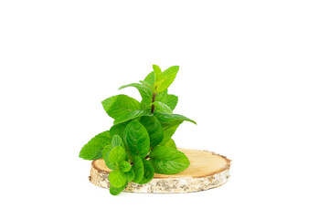 Mint leaves on birch wood and yellow background. Copy space.