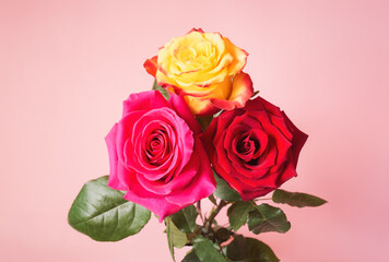 Colorful roses bunch. Selective focus.