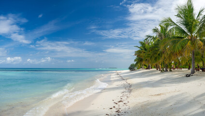 Maldives tropical islands panoramic scene, idyllic beach palm tree vegetation and clear water Indian ocean sea, tourist resort holiday vacation