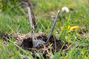 Close up of a mole trap in the ground