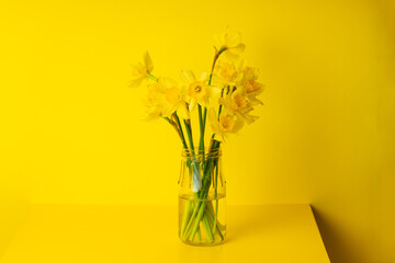 still life yellow narcissus flower bouquet over yellow background. abstract spring flowers greeting card