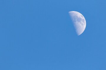 A portrait of a half moon during day time in a blue sky. The craters on the visible have of the...