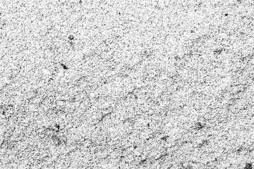 Texture of a concrete wall with cracks and scratches which can be used as a background