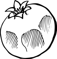 Single element of pomegranate fruit slice in doodle summer set. Hand drawn vector illustration for greeting cards, posters, stickers and seasonal design.