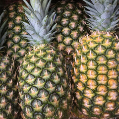 Fresh organic pineapples displayed for sale at a grocery market