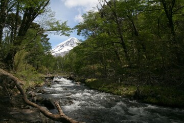 Volcan Lanin et torrent en Argentine - 2008 11 04 193642 Argentine - Junin & PN Lanin - 191