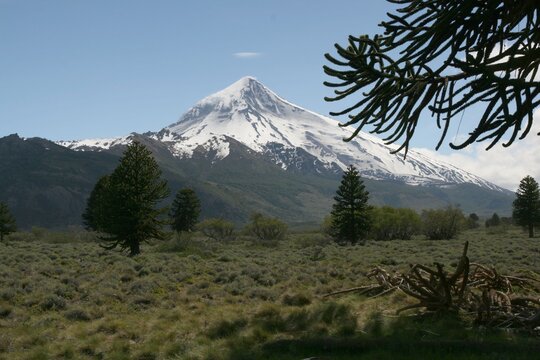 Volcan lanin et araucaria du Chili - 2008 11 04 203448 Argentine - Junin & PN Lanin - 237