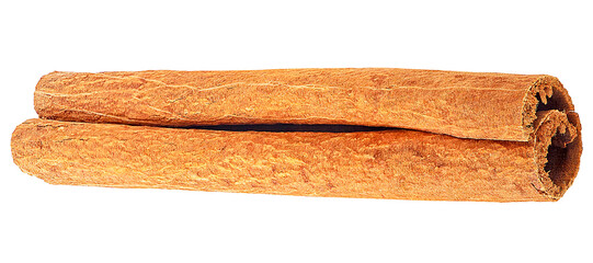 Front view of single cinnamon stick isolated on a white background