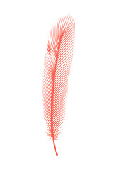 Coral detailed feather of bird.  decorative fluffy pink feather of flamingo or goose. Plume icon isolated on white background