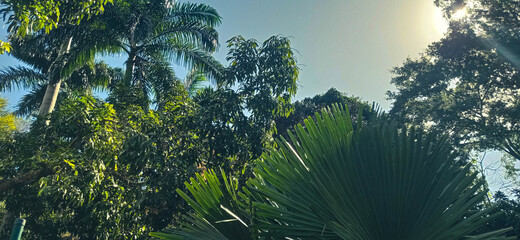 sunset over the city and forest