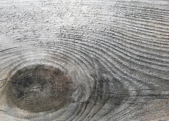 Photo of old wood, gray texture of natural wood, background of aged wood