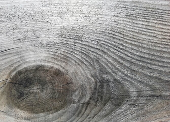 Fototapeta premium Photo of old wood, gray texture of natural wood, background of aged wood