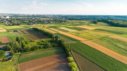 Fototapeta premium the green field is at sunset shot with the drone