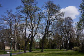 Obraz premium Prague, Czech Republic - April 23, 2021 - spring in the Royal Garden at Prague Castle
