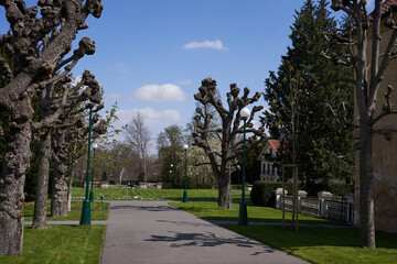 Obraz premium Prague, Czech Republic - April 23, 2021 - spring in the Royal Garden at Prague Castle
