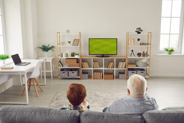 People sitting on sofa at home and enjoying soccer match on TV. Back view of granddad and grandchild watching football on big television set relaxing on couch in living-room with Scandinavian shelf