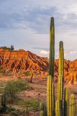 Desert Tatacoa - Desierto de la Tatacoa, Colombia. Amazing dry landcscape strewn with cacti during...