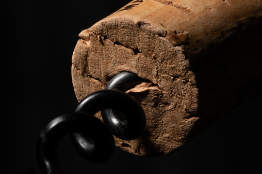 Cork Closeup with Corkscrew