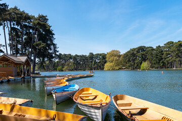 Parisians boating on the lower lake in the Bois de Boulogne on a sunny day of April.