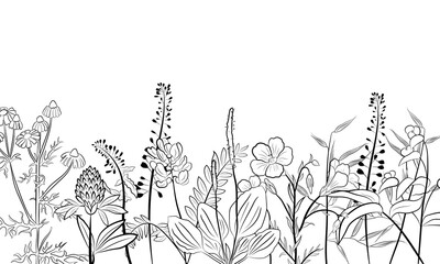 Hand drawn set of wildflowers and herbs. Sketch of summer flowers, herbs and leaves. Collection of meadow plants. Botanical illustration. Decorative elements for summer and spring desing.