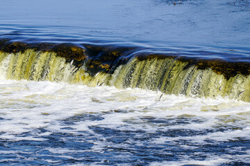 fish jumps on waterfall Ventas rumba at Kuldiga city, Latvia