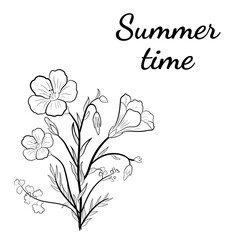 Hand drawn set of wildflowers and herbs. Sketch of summer flowers, herbs and leaves. Collection of meadow plants. Botanical illustration. Decorative elements for summer and spring desing.