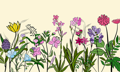 Obraz premium Hand drawn set of wildflowers and herbs. Sketch of summer flowers, herbs and leaves. Collection of meadow plants. Botanical illustration. Decorative elements for summer and spring desing.