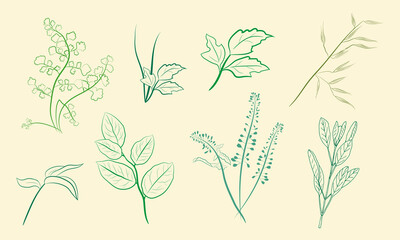 Hand drawn set of wildflowers and herbs. Sketch of summer flowers, herbs and leaves. Collection of meadow plants. Botanical illustration. Decorative elements for summer and spring desing.