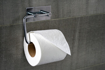a roll of toilet paper on a steel holder against a gray tile wall