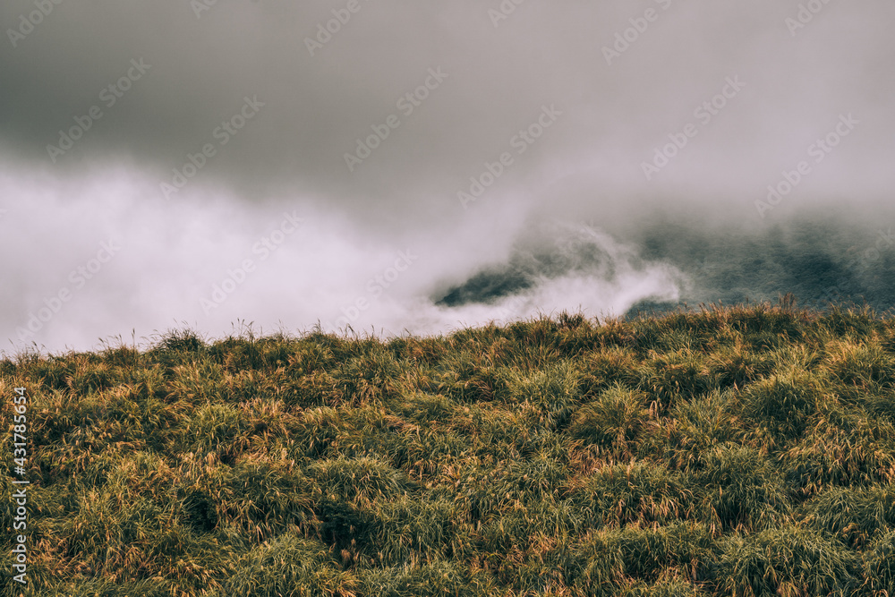 Wall mural foggy landscape