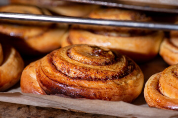 Sweet cinnamon buns baking in the oven. Swirl pastry made at home, close up shot.