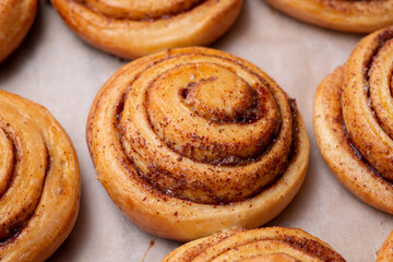 Golden sweet cinnamon rolls, close up on backing paper. Baking at home, aromatic pastry, delicious buns.