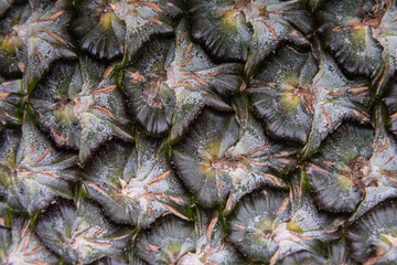 Obraz premium Macro detail of pineapple fruit