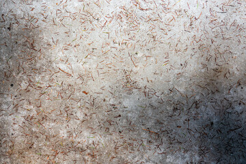 The spring thawed snow is littered with fallen larch needles and small twigs. Background. Texture.