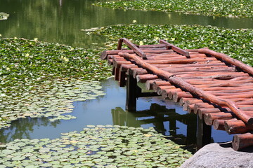 Puente en laguna