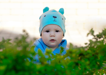 Portrait of a child in a hat that looks like a bear cub sitting behind a bright green bush. A happy childhood in the fresh air. Eco-friendly, natural parenting © Наталия Денисова
