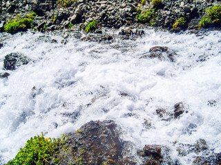 Mountain stream on a summer day
