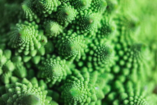 Detail of vegetable romanescu broccoli texture pattern. Healthy food concept.