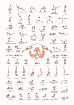 Hand drawn poster of hatha yoga poses and their names, Iyengar yoga asanas difficulty levels 1-5