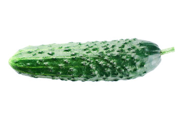 Fresh whole green cucumber isolated on white background close up, clipping path