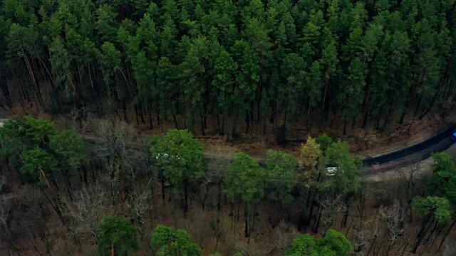 Transport road cargo industry nature lifestyle rain forest truck