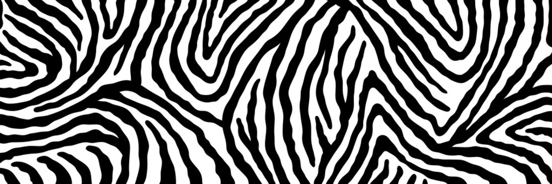 Vector abstract animalistic background. Freehand illustration of zebra skin print. Long horizontal banner.