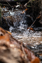 Unsharp view to small forest stream with a waterfall