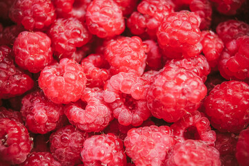 Macro photo of fresh sweet  pink rapsberries.