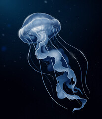 Jellyfish deep sea poisonous illustration realism on a background of dark water. A deep-sea inhabitant of the ocean swims to hunt a clam. © Konstantin Gerasimov