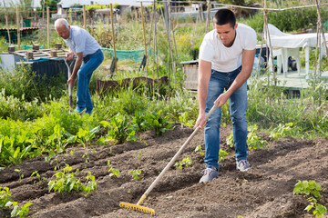 Elderly father and adult son work in the garden. High quality photo